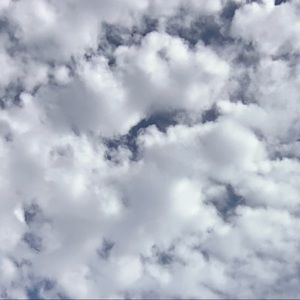 Meet your Posher, Angelica